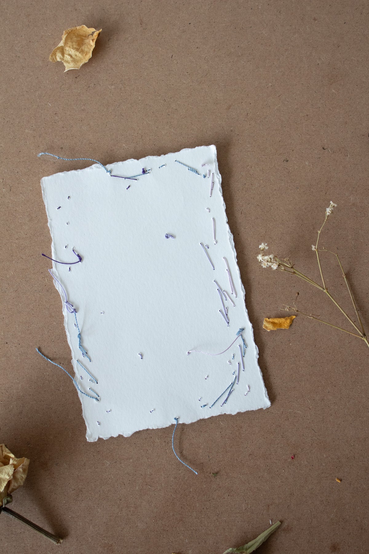 N° 134 constellation postcard 1
