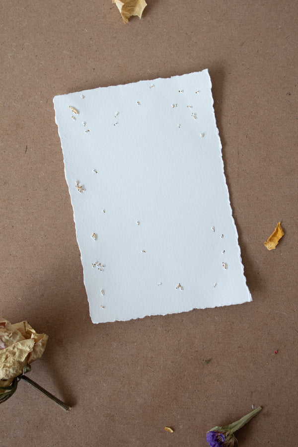 N° 134 constellation postcard 1