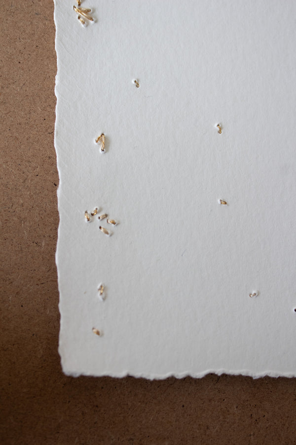 N° 134 constellation postcard 1