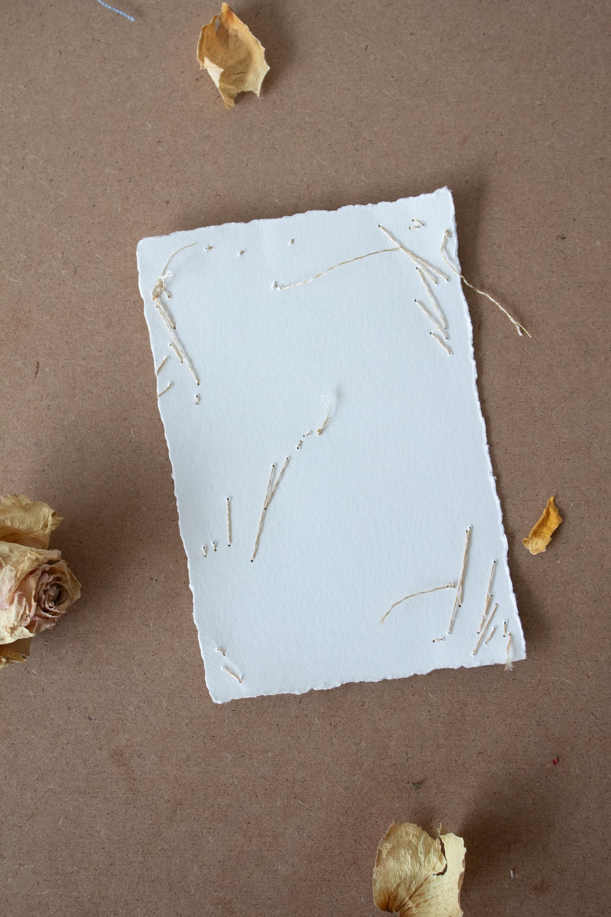 N° 134 constellation postcard 1