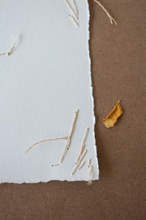 N° 134 constellation postcard 1