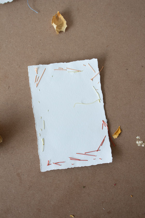 N° 134 constellation postcard 1