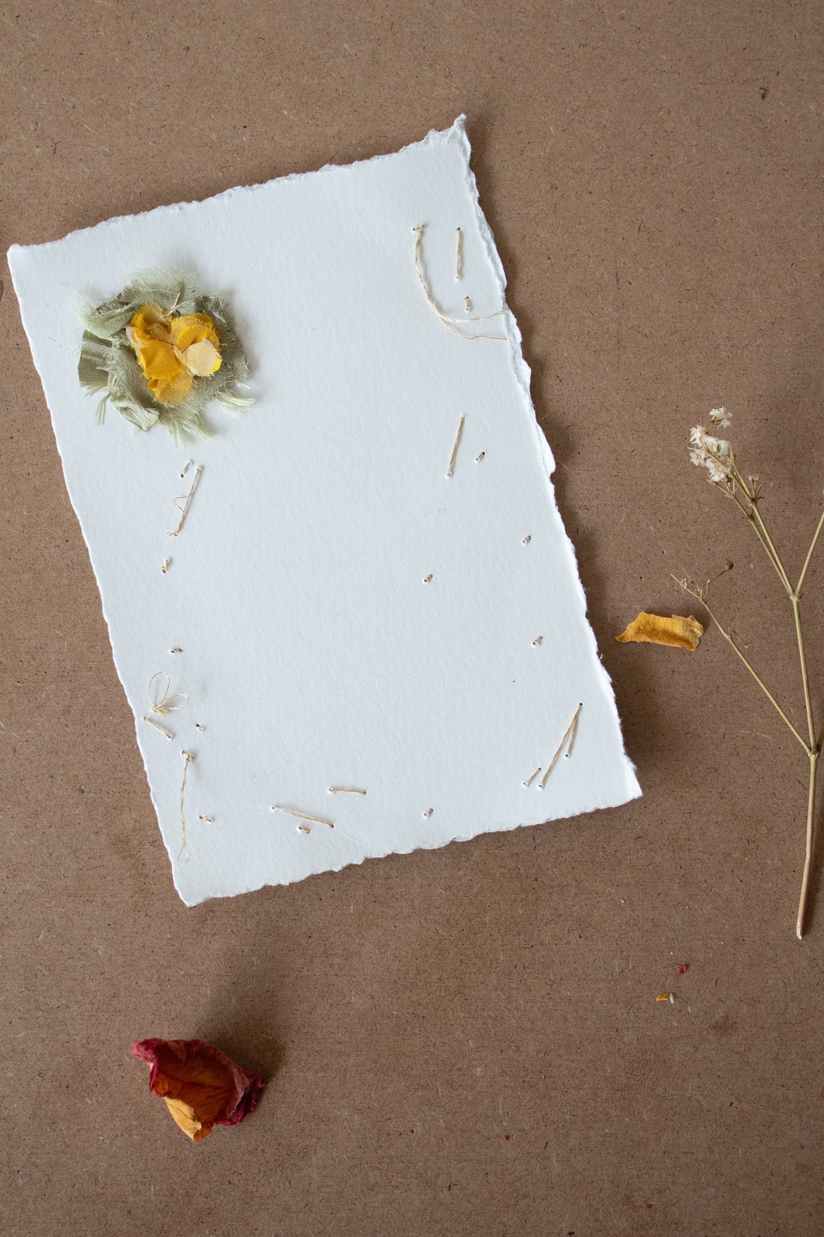 N° 134 constellation crushed bloom postcard 2