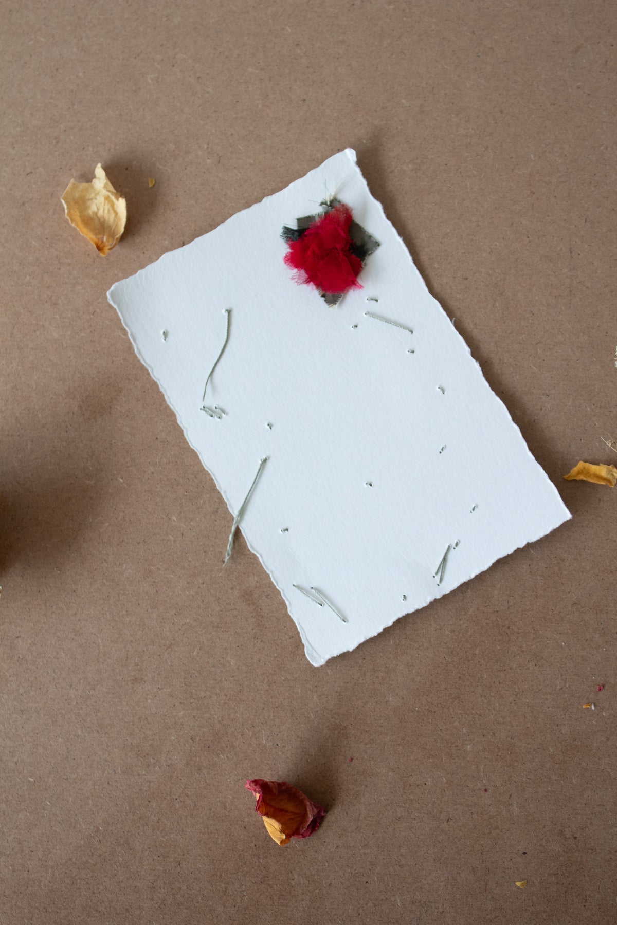 N° 134 constellation crushed bloom postcard 2