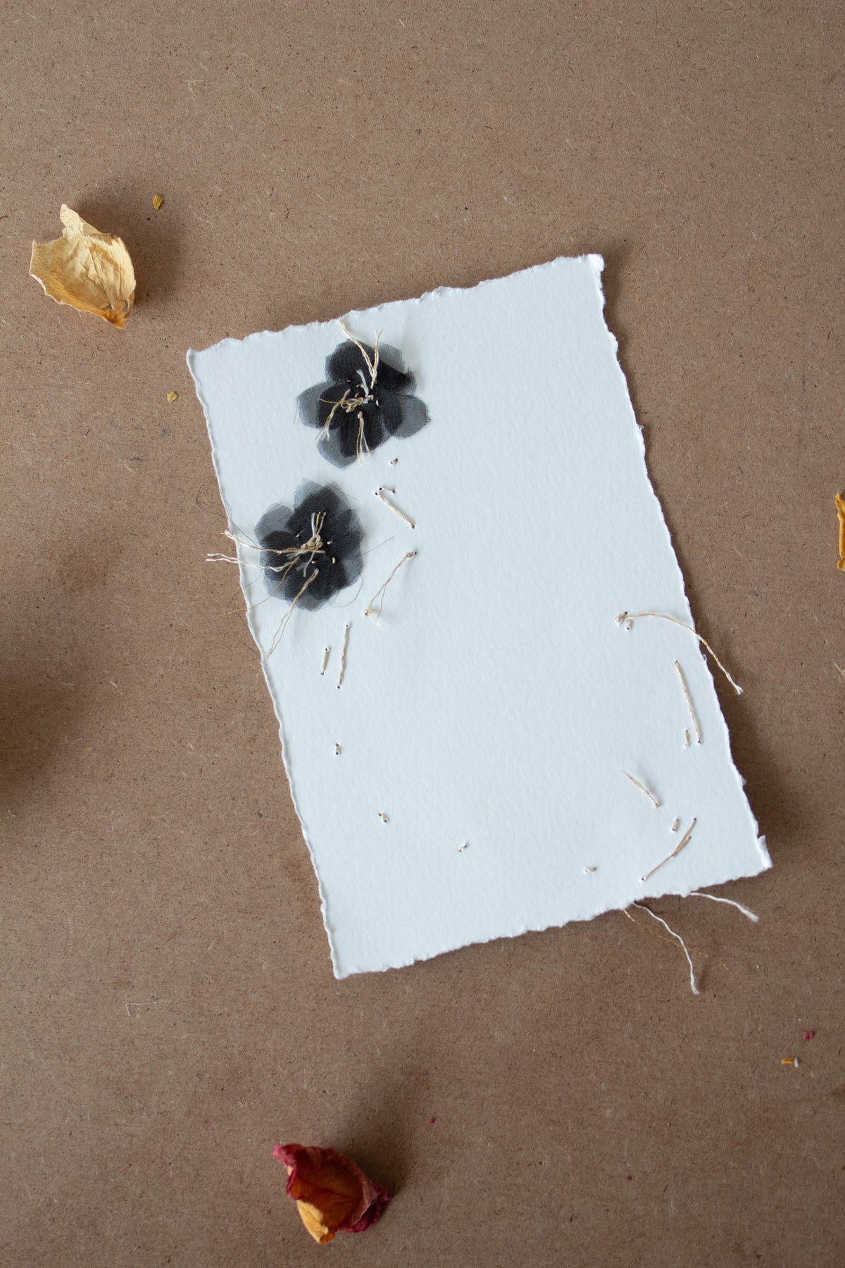 N° 134 constellation crushed blooms postcard 3
