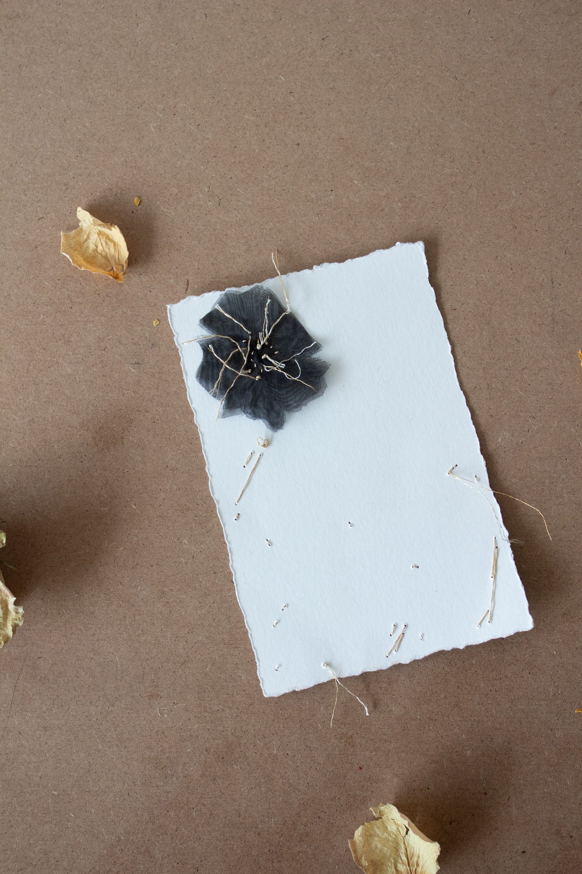 N° 134 constellation crushed bloom postcard - L