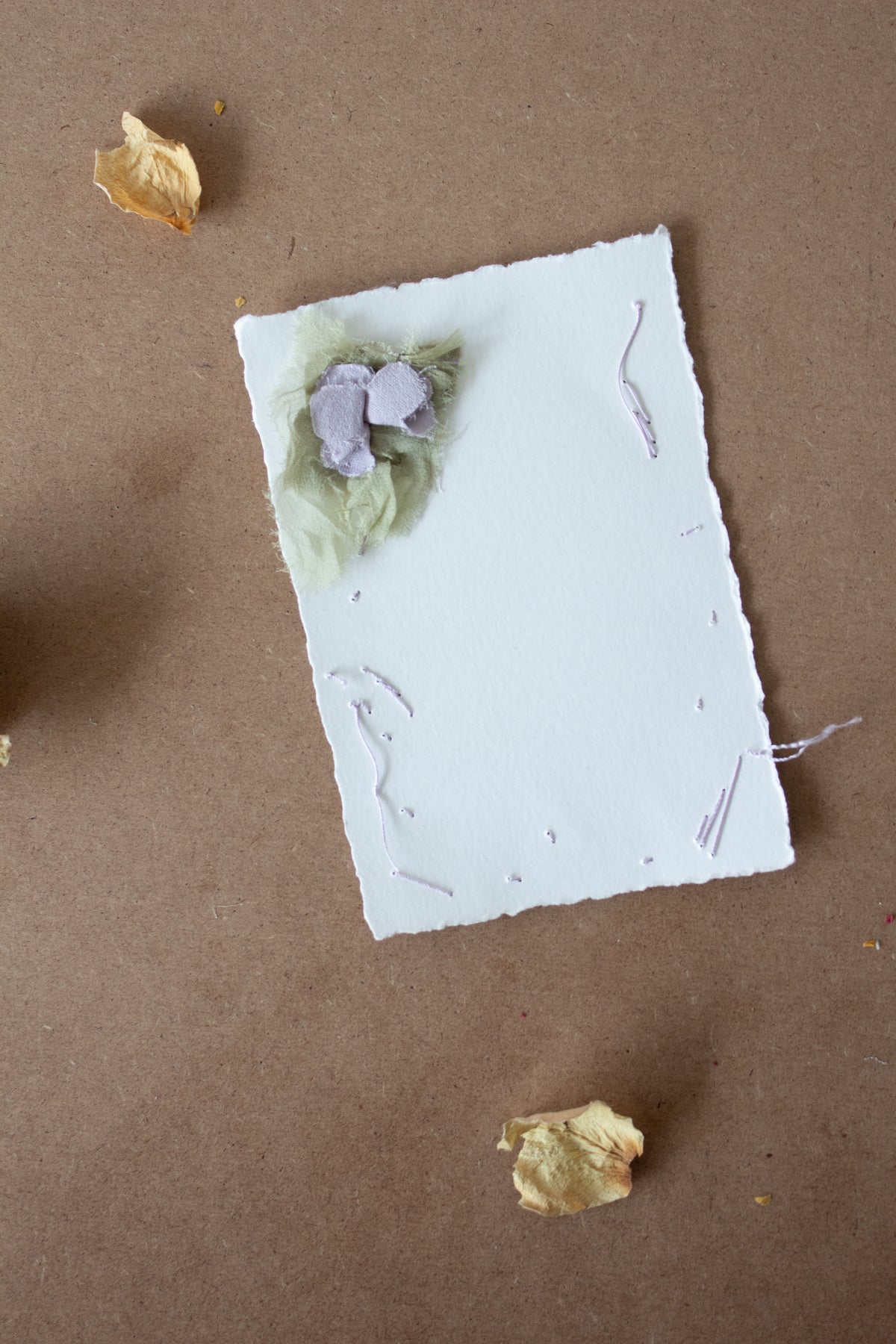 N° 134 constellation crushed bloom postcard 2