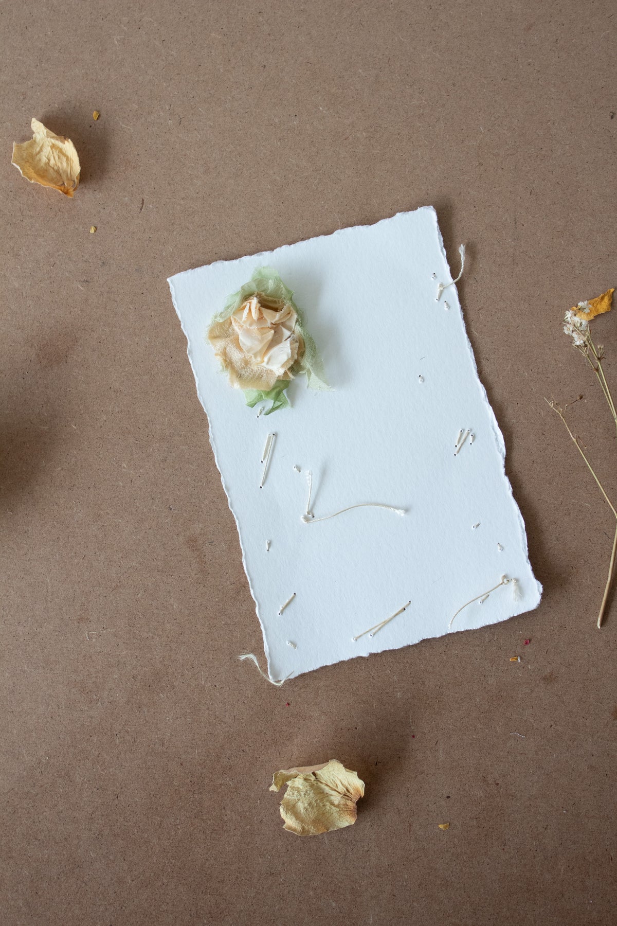 N° 134 constellation crushed bloom postcard - L